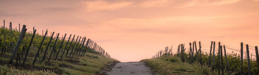 Pathway Pathway