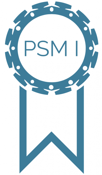 PSM 1 Logo
